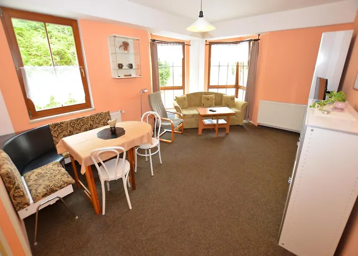 Snug Apartment In Jachymov Near Ski Area